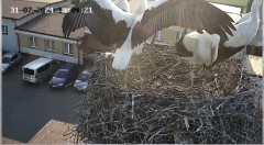IMG_0729.jpeg