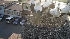 IMG_0730.jpeg