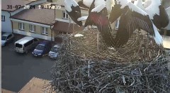 IMG_0737.jpeg