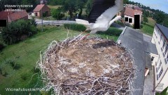 IMG_1590.jpeg