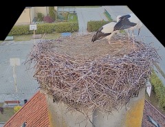 IMG_0764.jpeg