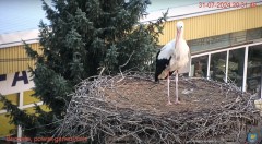 IMG_0772.jpeg