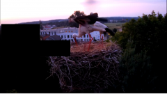 2024-07-31 21_01_04-rtsp___94.40.20.138_554_h264_ch1_main_av_stream - VLC media player.png