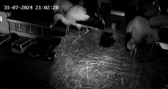 IMG_0799.jpeg