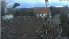 bandicam 2024-07-31 20-59-32-646.jpg