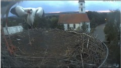 bandicam 2024-07-31 20-59-34-143.jpg
