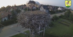 IMG_0803.jpeg
