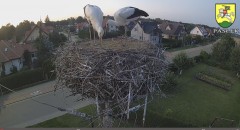 IMG_0806.jpeg