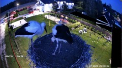 IMG_0810.jpeg