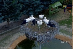 IMG_0753.jpeg