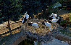 IMG_0721.jpeg