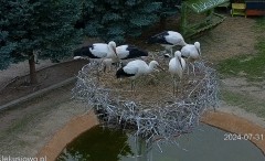 IMG_0781.jpeg