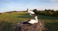 IMG_0828.jpeg