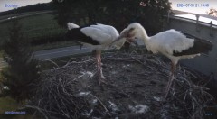IMG_0834.jpeg