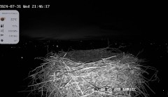 IMG_0839.jpeg