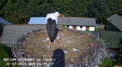 IMG_0691.jpeg