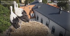 IMG_0690.jpeg