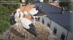 IMG_0695.jpeg