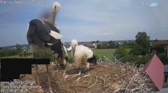 IMG_0659.jpeg