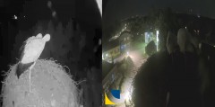 bandicam 2024-07-31 23-12-28-037.jpg