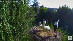 IMG_0719.jpeg
