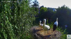 IMG_0720.jpeg