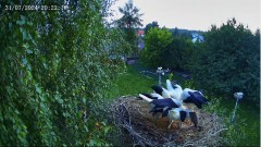 IMG_0858.jpeg