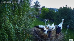 IMG_0859.jpeg