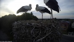 IMG_0863.jpeg