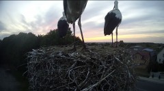 IMG_0864.jpeg