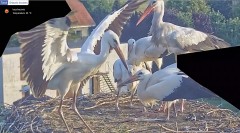 IMG_1093.jpeg