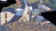 IMG_1094.jpeg