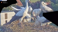 IMG_1095.jpeg