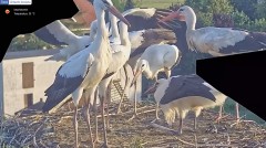 IMG_1103.jpeg
