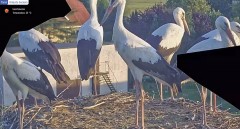 IMG_1121.jpeg