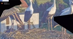 IMG_1122.jpeg