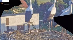 IMG_1123.jpeg