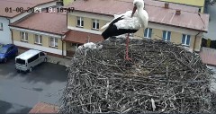 IMG_1044.jpeg