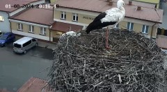 IMG_1114.jpeg