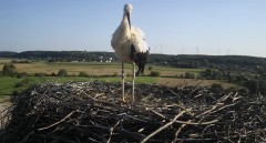 IMG_0956.jpeg