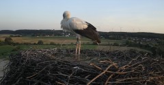 IMG_1112.jpeg