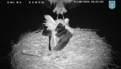 IMG_1151.jpeg