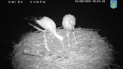 IMG_1155.jpeg