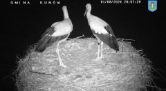 IMG_1156.jpeg