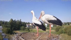 IMG_1177.jpeg