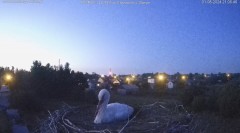 IMG_1176.jpeg