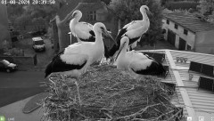 IMG_1141.jpeg