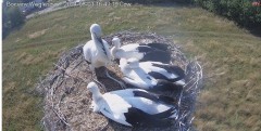 IMG_0943.jpeg