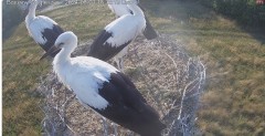 IMG_0960.jpeg