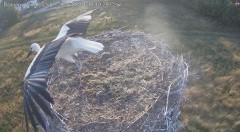 IMG_1026.jpeg